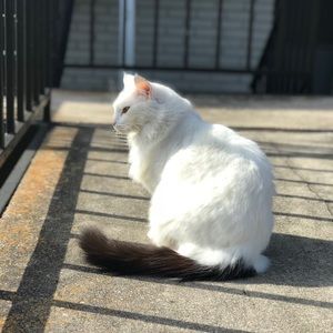 Meet your Posher, Ester